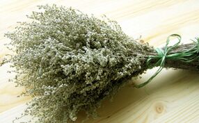 Wormwood لإزالة الطفيليات من الجسم