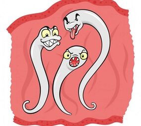 ما هي الطفيليات التي يمكن أن تعيش في جسم الإنسان