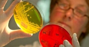 تشخيص الطفيليات في الجسم